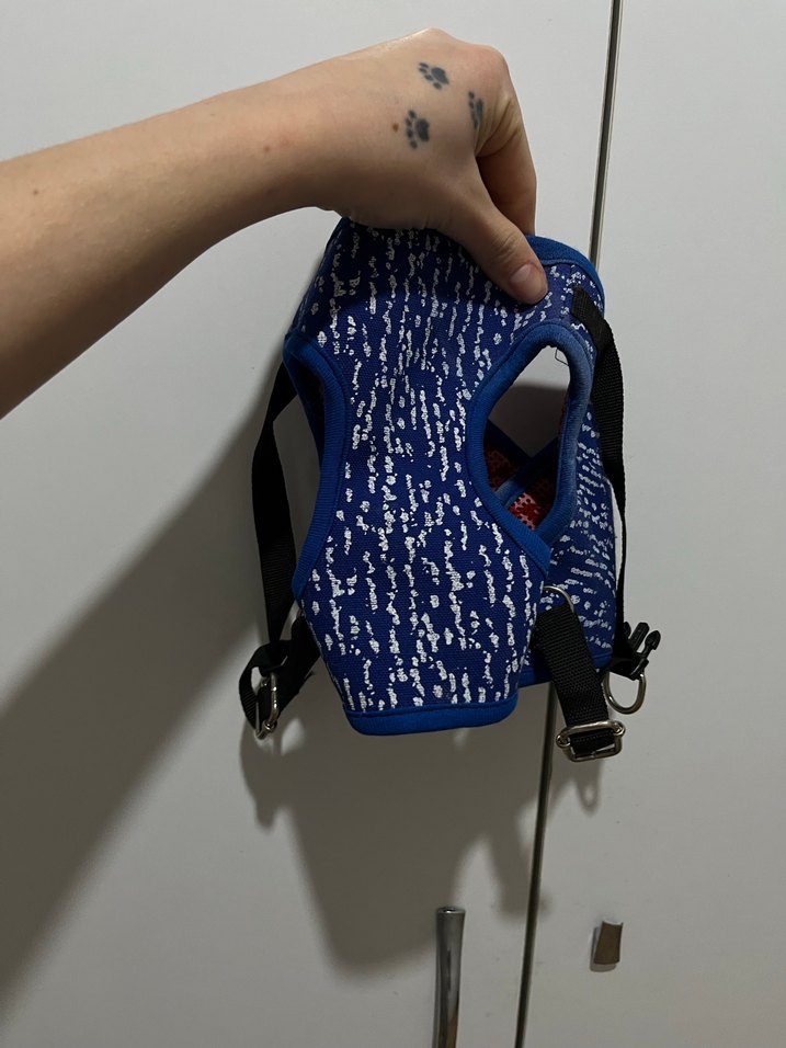 Köpek için renkli, baskılı kıyafet Velcro'lu - Görsel 3