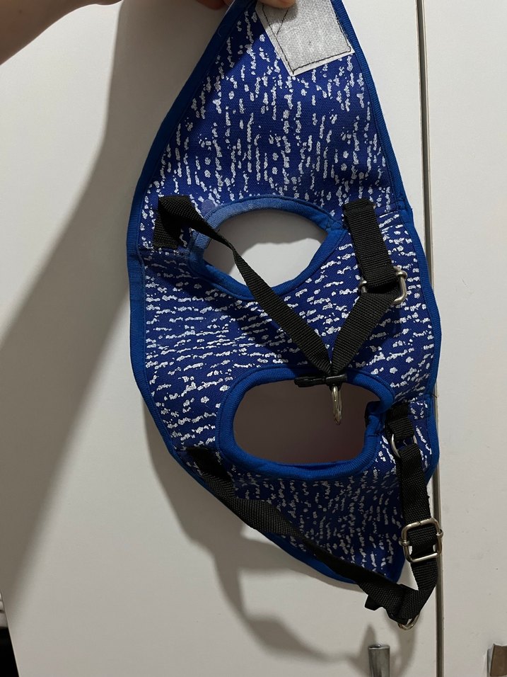 Köpek için renkli, baskılı kıyafet Velcro'lu - Görsel 2