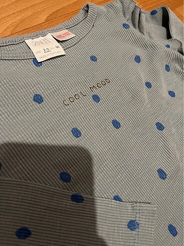 Zara Zara bluz ve LCW gömlek
