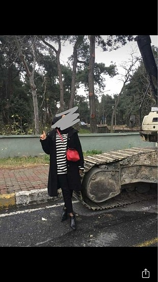 Siyah kaban