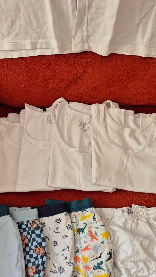 1 Düzine Erkek Çocuk İçin çamaşırı - Görsel 3