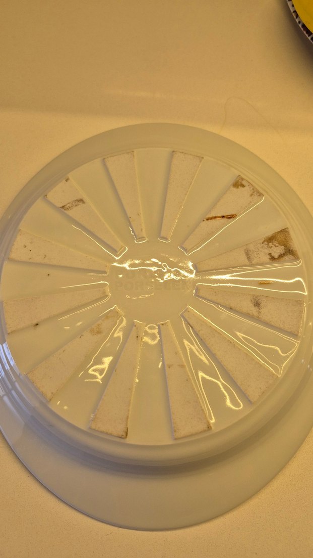 Porland porselen sahan - Görsel 4