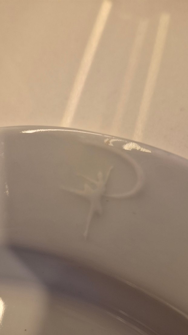 Porland porselen sahan - Görsel 2