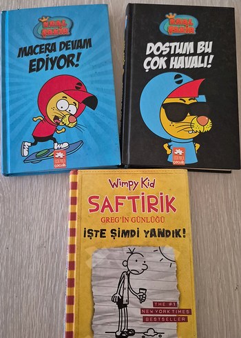 Kral Şakir ve Saftirik kitabı.toplu satış