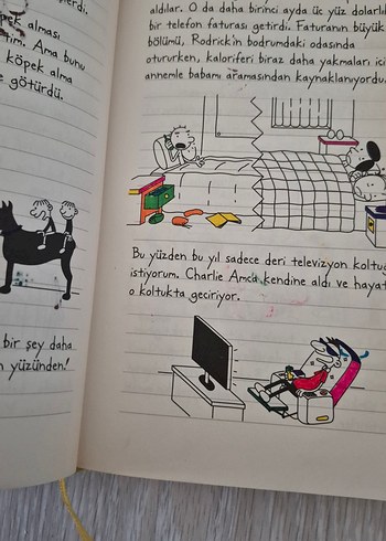 Kral Şakir ve Saftirik kitabı.toplu satış