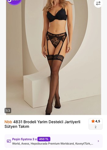 NBB Siyah Destekli Göğüs Sütyeni Takımı - Görsel 2