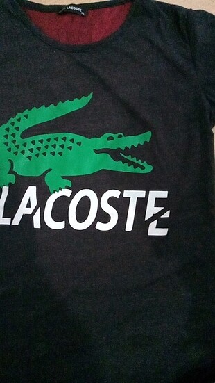 Lacoste Tişört