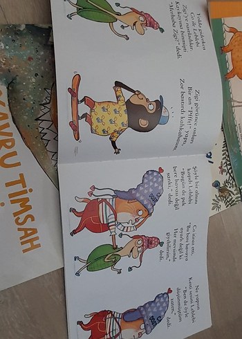  Yavru Timsah Çipiti Yaramaz ejderha Kedi Leblebi