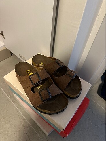 Birken terlik