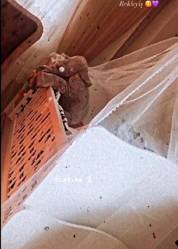 Cibinlik Özel dikim - Görsel 7