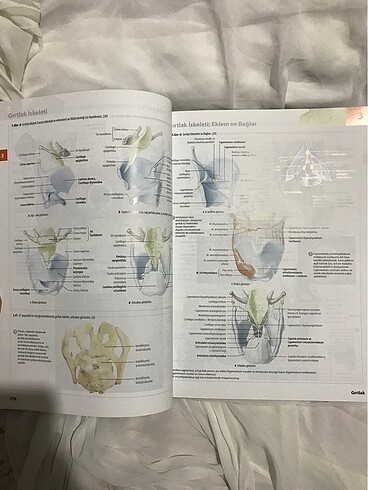 İnsan anatomisi atlası