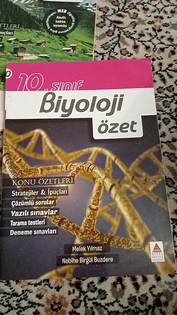 10. Sınıf Ders Özet Notları