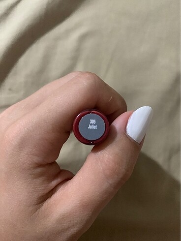 Pastel Beaulis zıp ıt 305