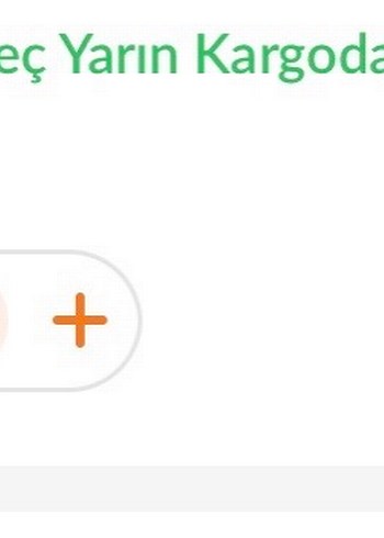 Gri Oyun Parkı oyun alanı - Görsel 2