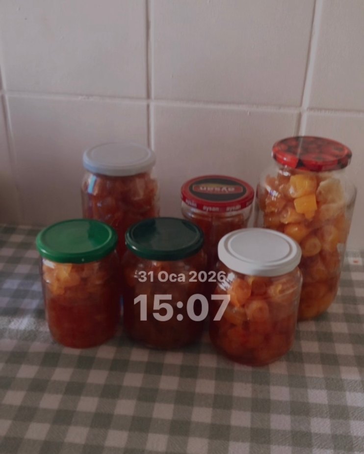 Turunc receli yeni yapım - Görsel 4