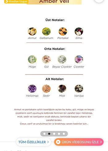 Aryene Amber Veil Parfüm - Görsel 3