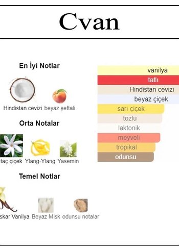 Tutaste Coco Vanille Parfüm - Görsel 3