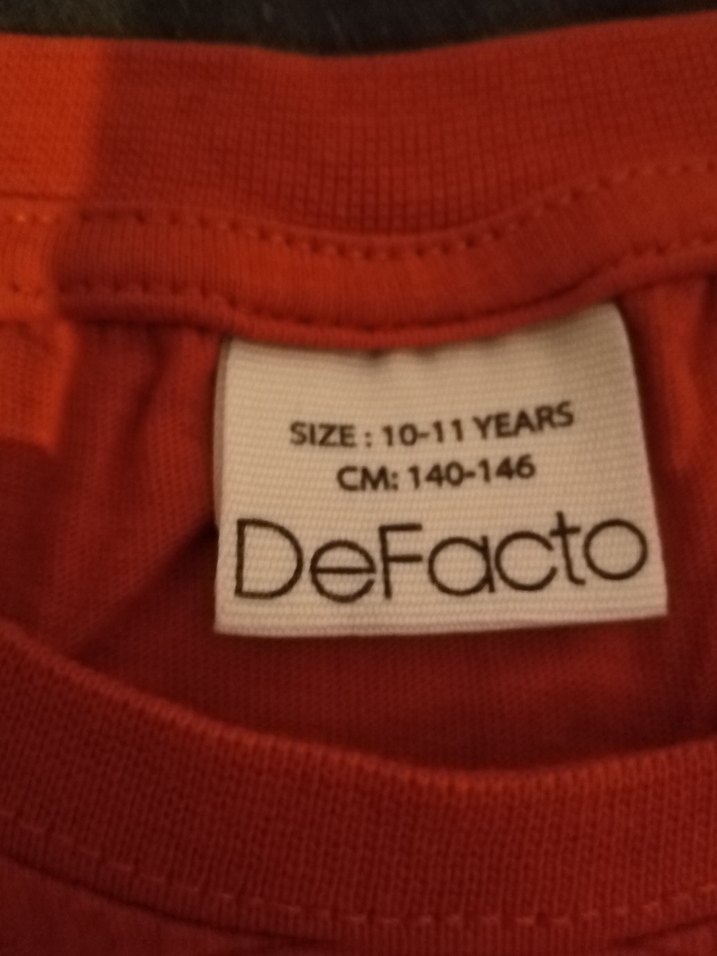 Turuncu Baskılı Erkek Çocuk Tişörtü - Görsel 3