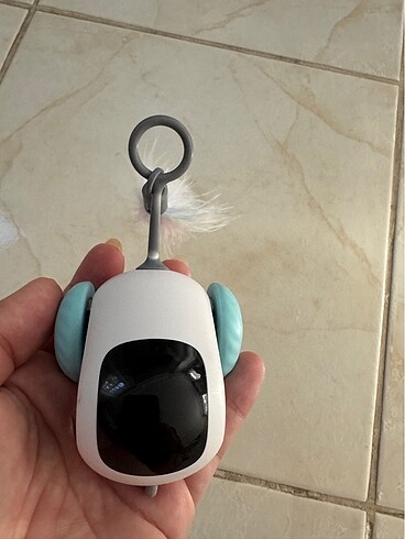 Kedi oyuncağı