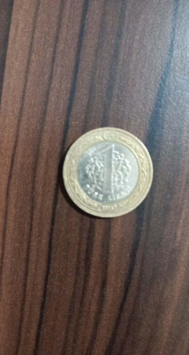 Parlak Bej Erkek Rozeti - Görsel 4