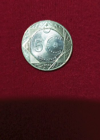 Vintage Gri Erkek Rozeti - Görsel 2