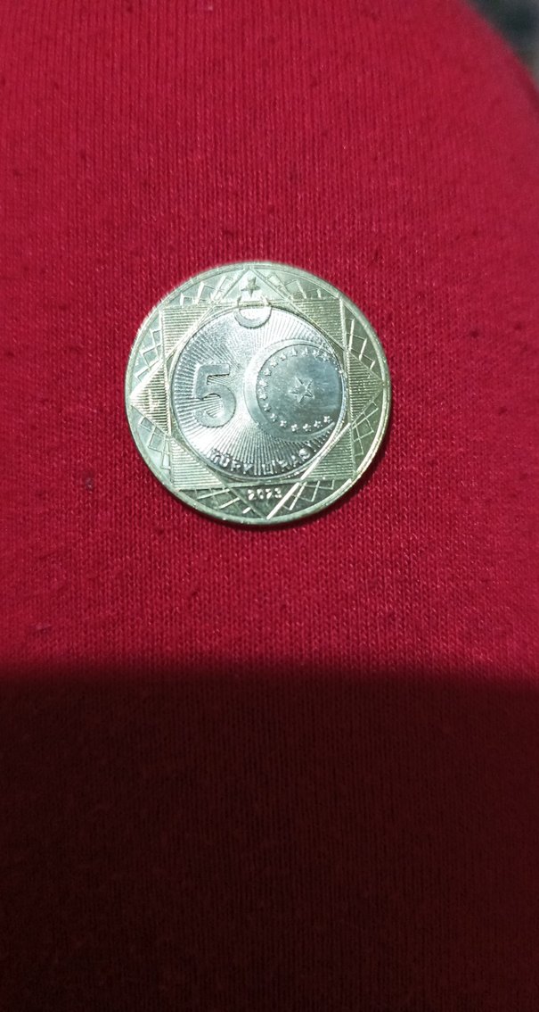 Vintage Gri Erkek Rozeti - Görsel 3