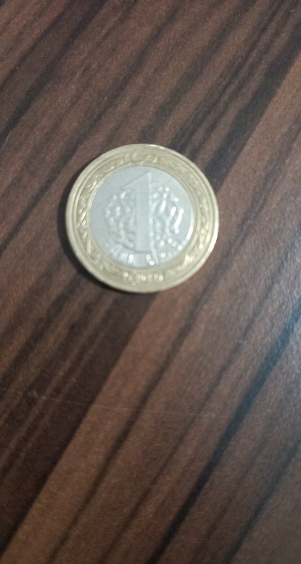 Erkek Vintage Altın Gri Rozet - Görsel 3