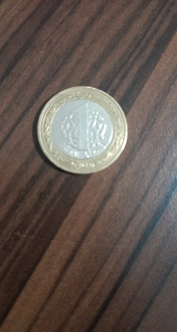 Erkek Vintage Altın Gri Rozet - Görsel 2