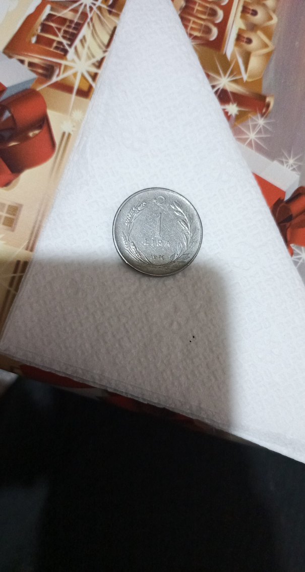 Gri Minimalist Erkek Rozeti - Görsel 2