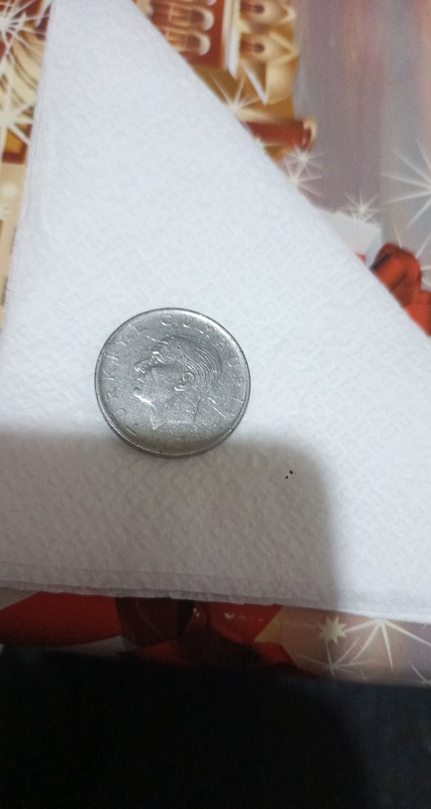 Gri Minimalist Erkek Rozeti - Görsel 3