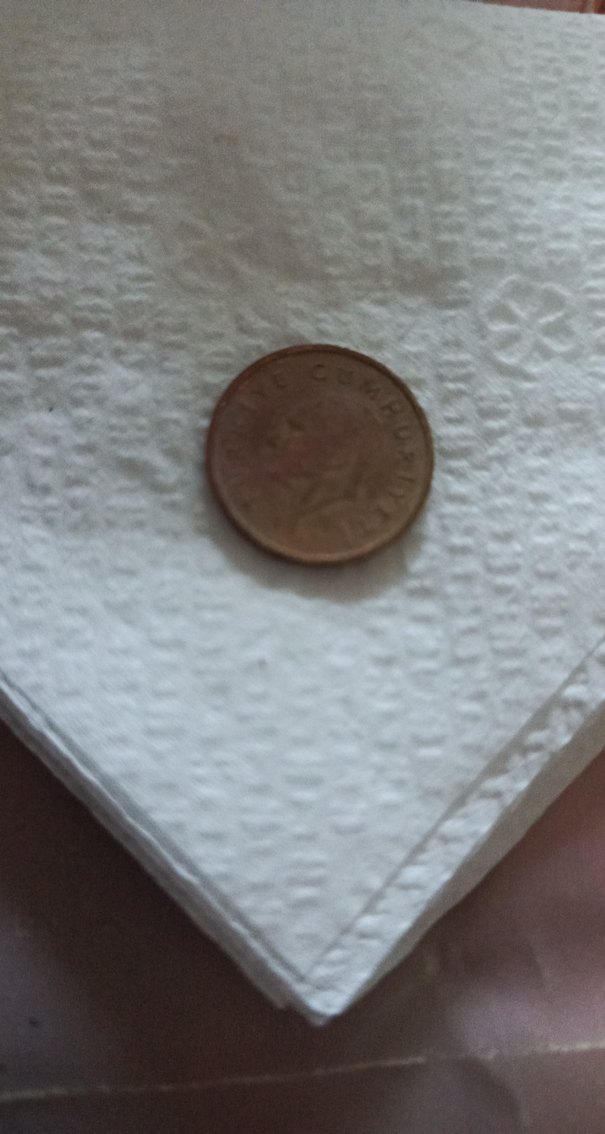 Kahverengi Vintage Erkek Rozeti 1989 yılı - Görsel 3