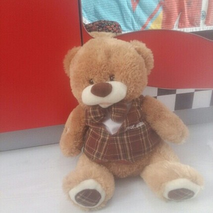 peluş oyuncak ayı 