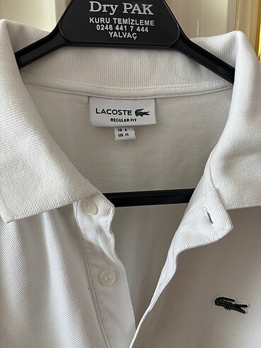 m Beden Lacoste Polo Yaka tişört