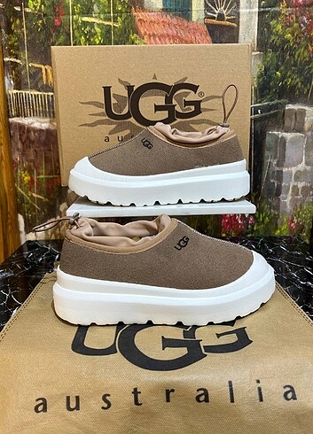 Ugg Ugg Tasman Weather