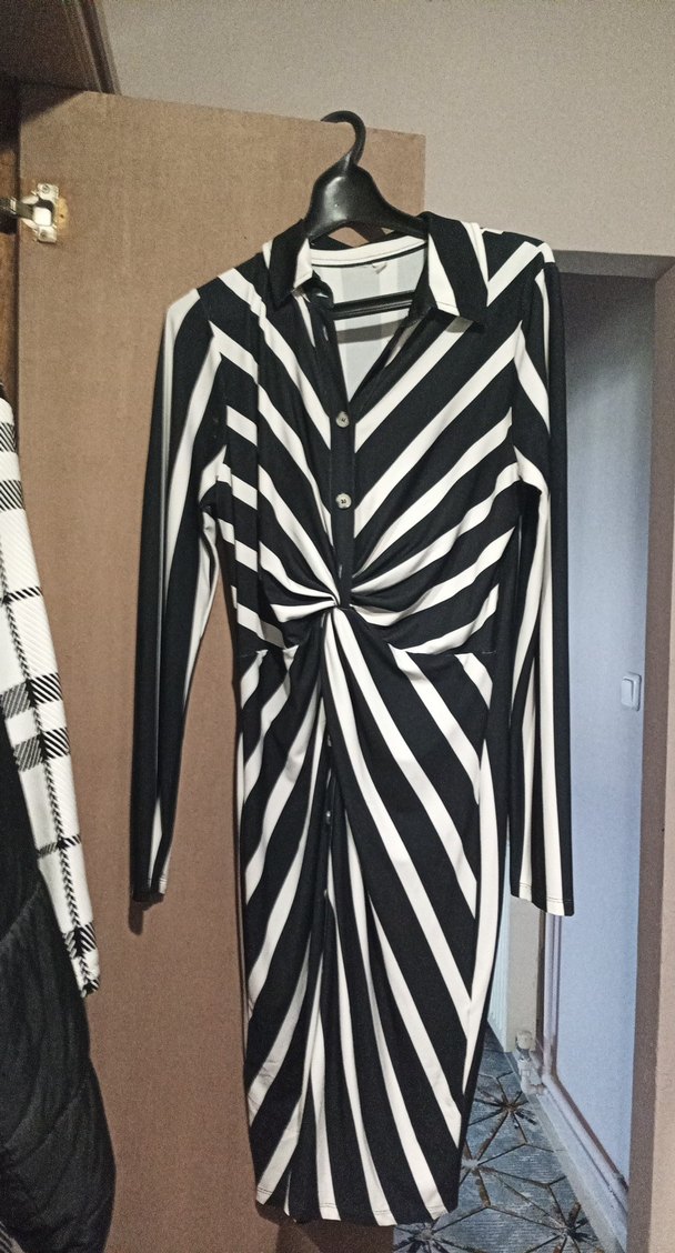 Zebra Desenli Uzun Kollu Siyah Elbise - Görsel 2