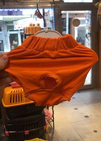 Evcil Hayvan Kıyafet - Görsel 3