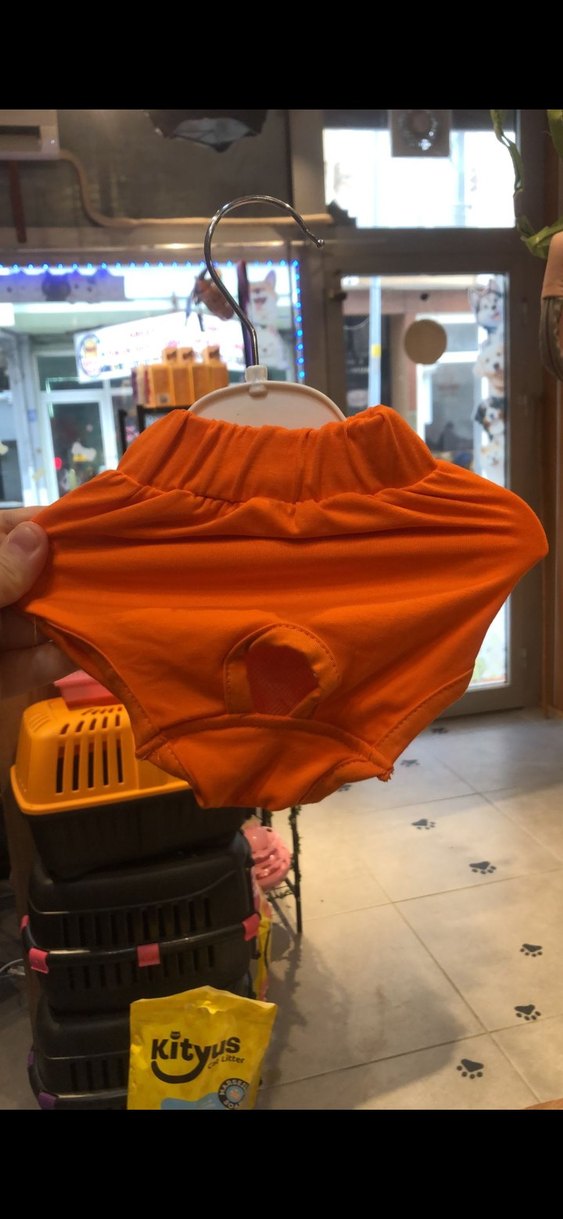 Evcil Hayvan Kıyafet - Görsel 3