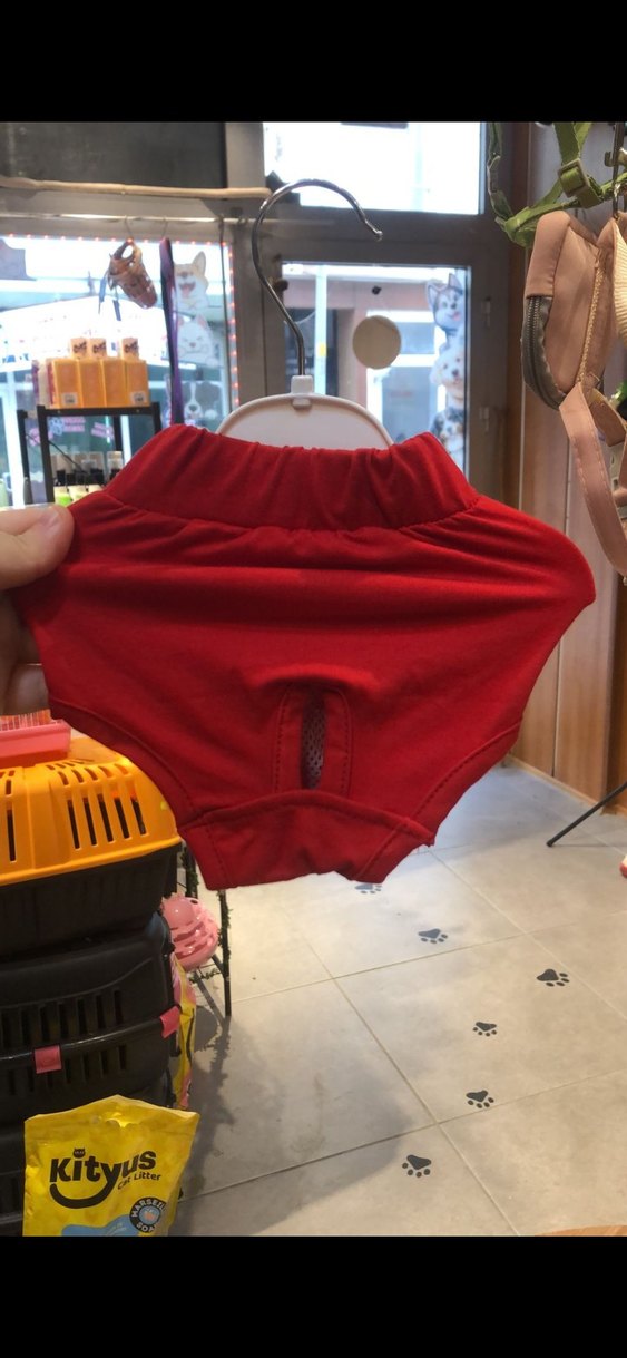 Evcil Hayvan Kıyafet - Görsel 2