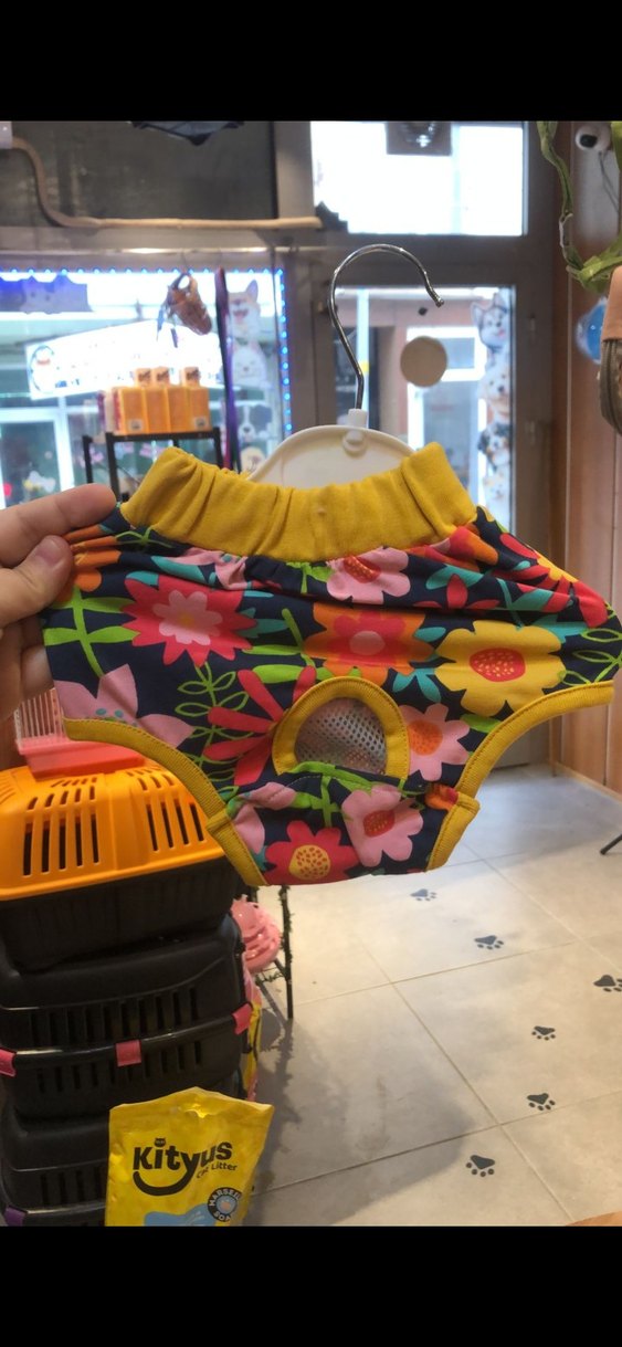 Çiçek Desenli Renkli Evcil Hayvan  Çamaşırı - Görsel 2