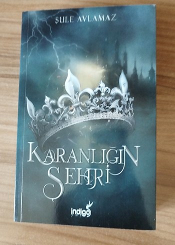 Karanlığın Şehri - Şule Avlamaz