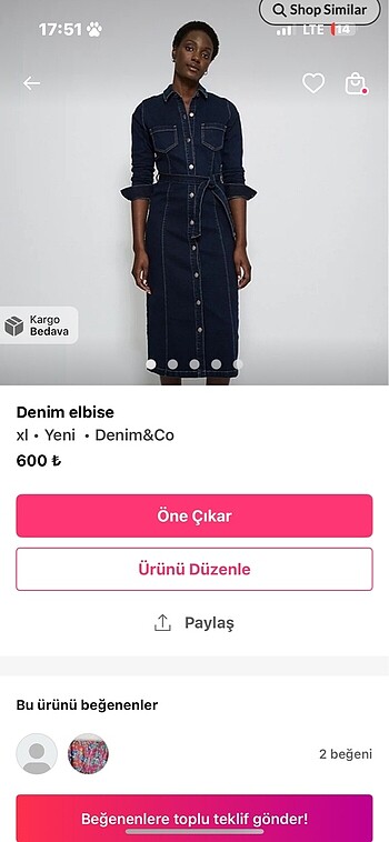 Kot elbise