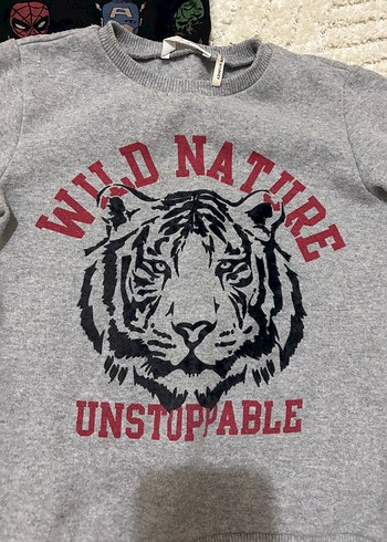 Gri Erkek Sweatshirt, Uzun Kollu, Baskılı - Görsel 4