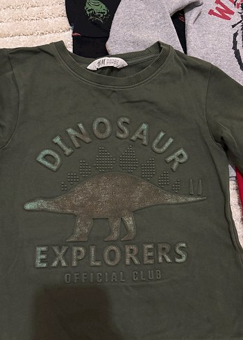 Gri Erkek Sweatshirt, Uzun Kollu, Baskılı - Görsel 2