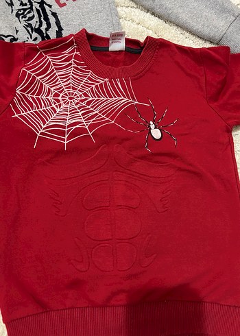 Gri Erkek Sweatshirt, Uzun Kollu, Baskılı - Görsel 3