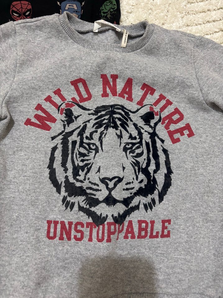 Gri Erkek Sweatshirt, Uzun Kollu, Baskılı - Görsel 4