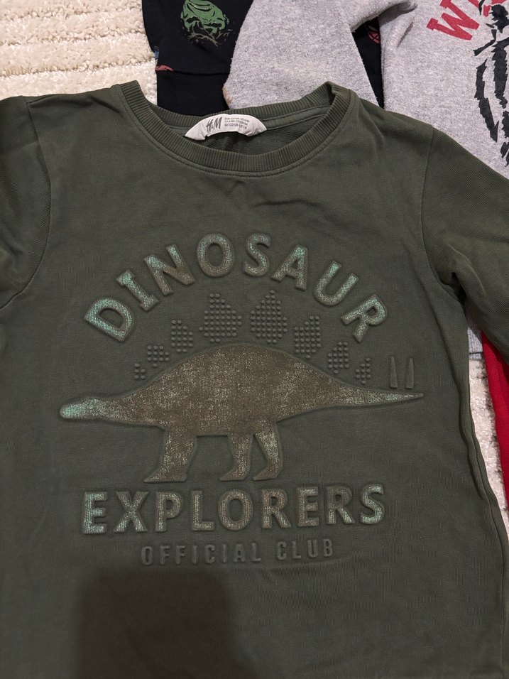 Gri Erkek Sweatshirt, Uzun Kollu, Baskılı - Görsel 2