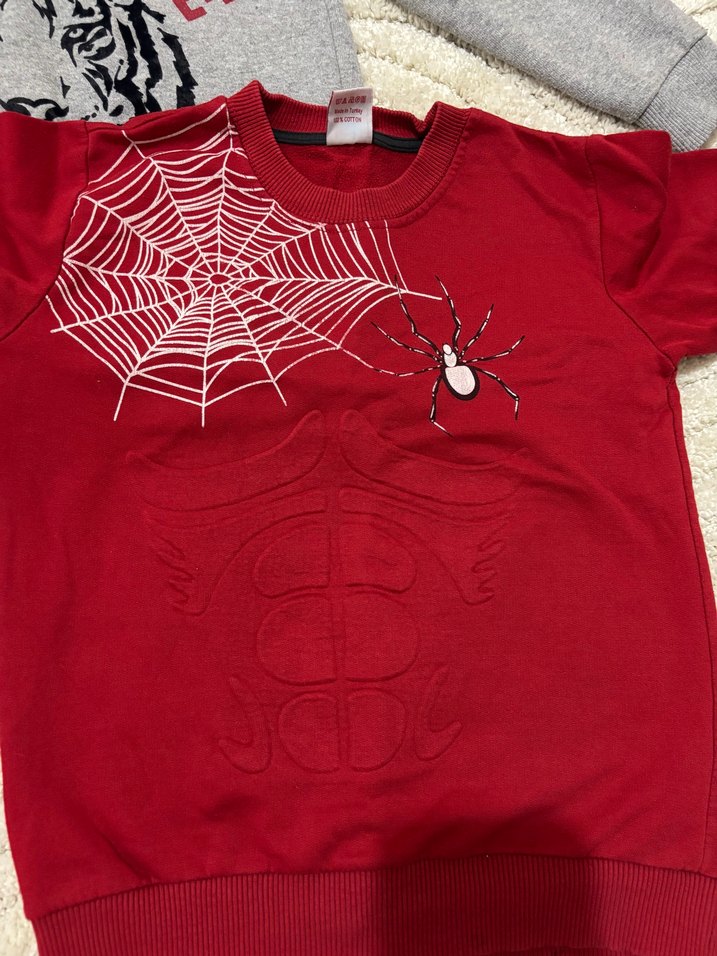 Gri Erkek Sweatshirt, Uzun Kollu, Baskılı - Görsel 3