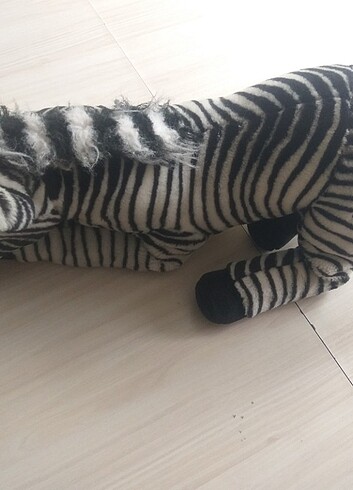 National Geographic National geographic zebra 