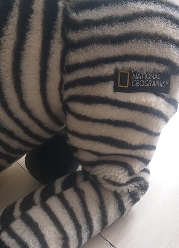  Beden National geographic zebra 