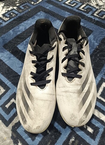 Adidas Halosaha 